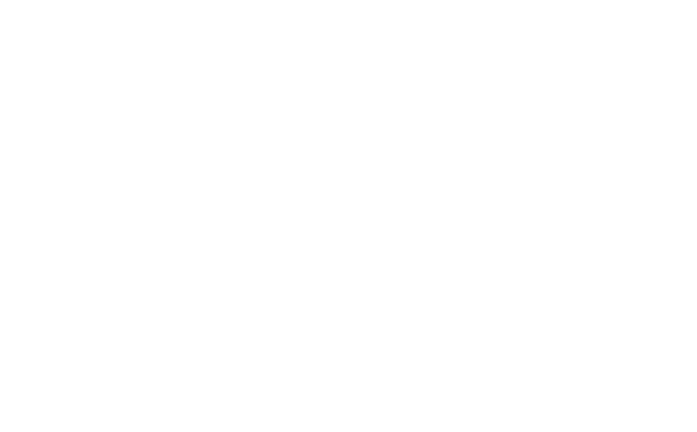 BrainMetriks Consulting